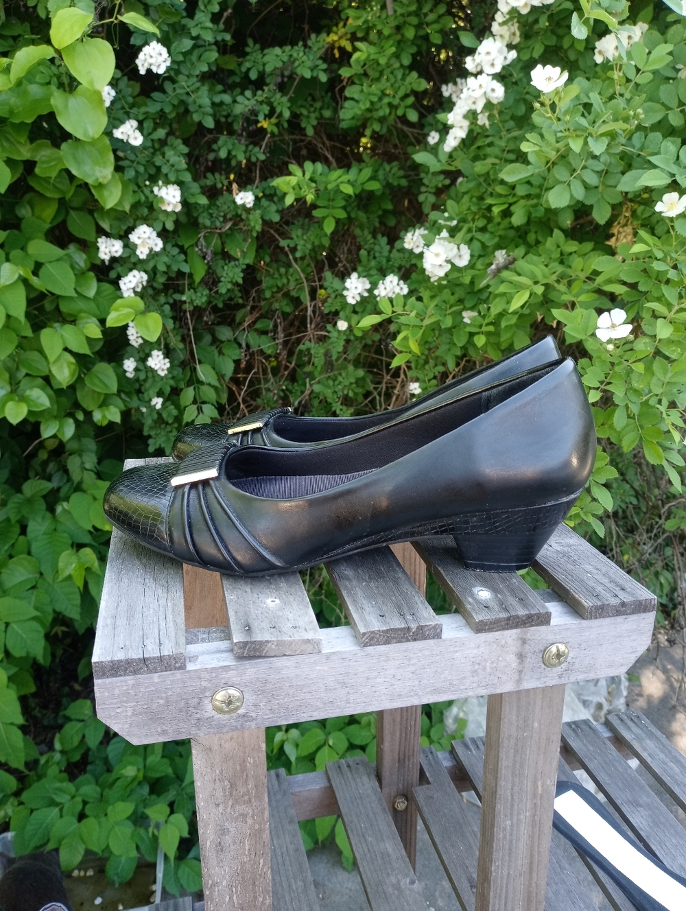 Statutes Women's Dress Shoe